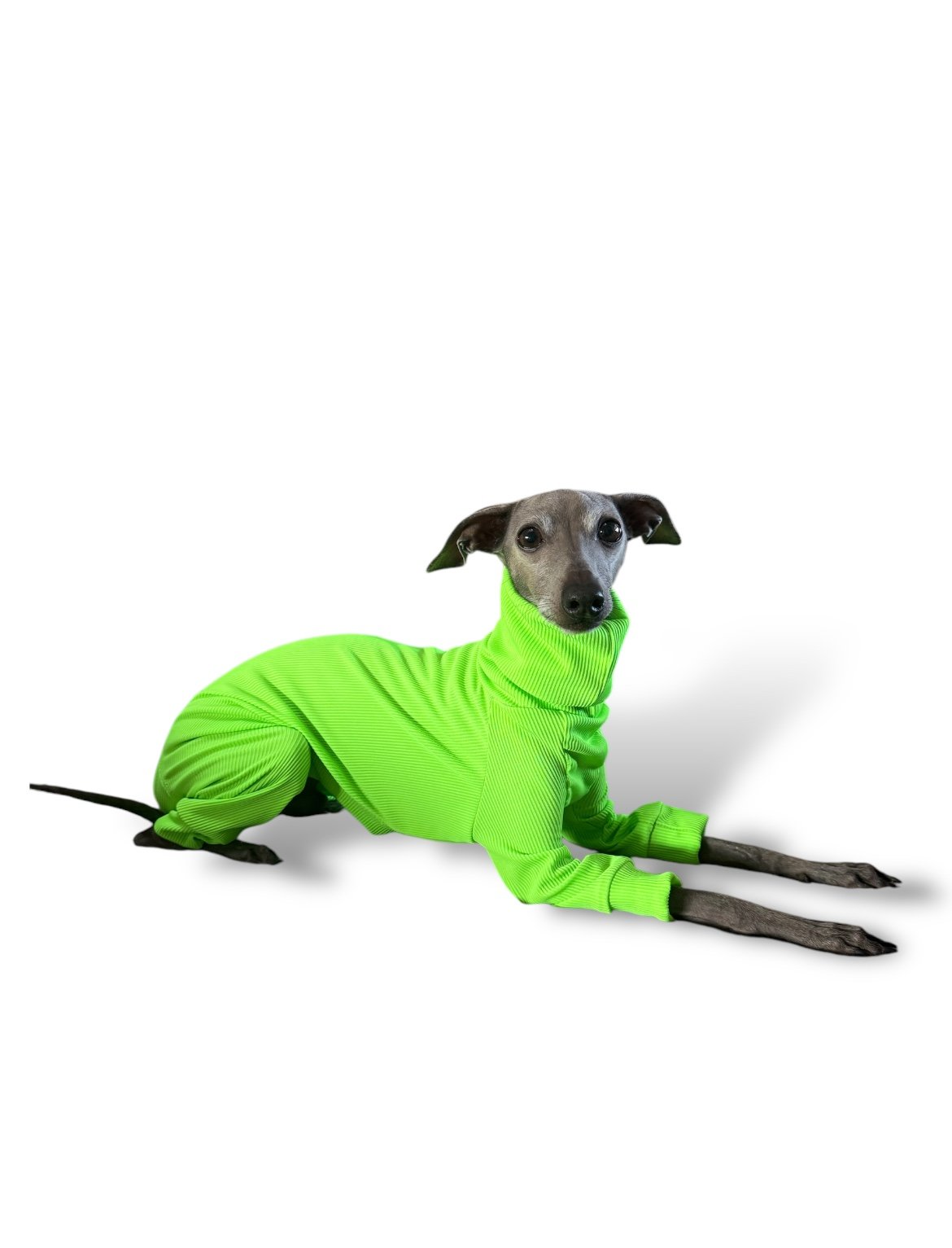Ribbed Jersey - Hi-Visibility Yellow