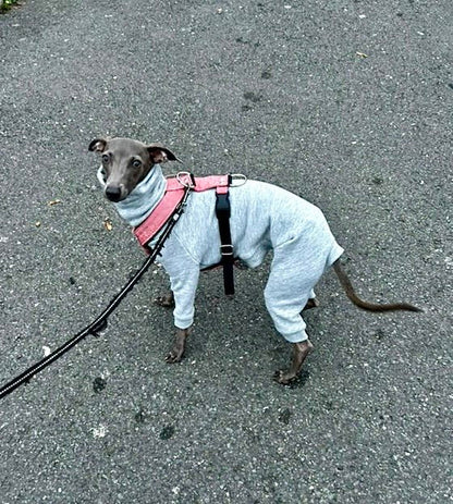 Puppy Fleece Lined Sweatshirt - Grey