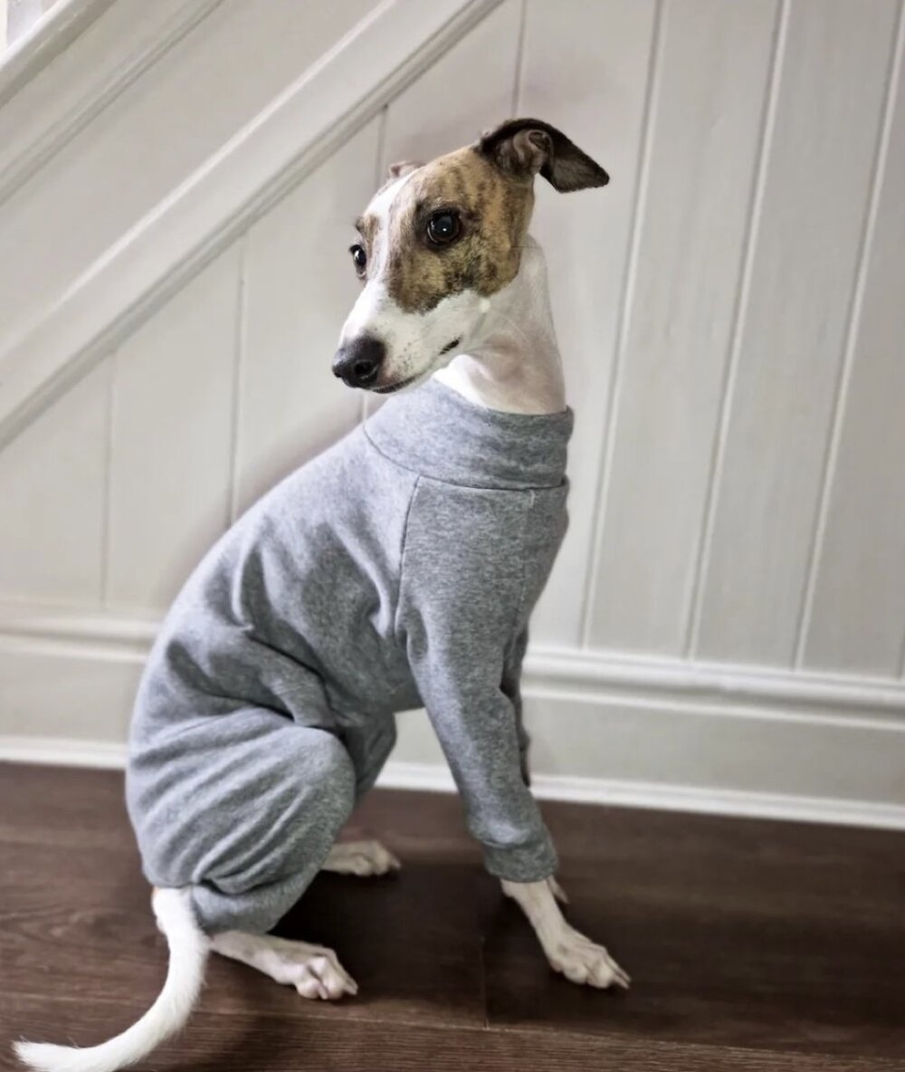 Fleece Lined Sweatshirt - Grey