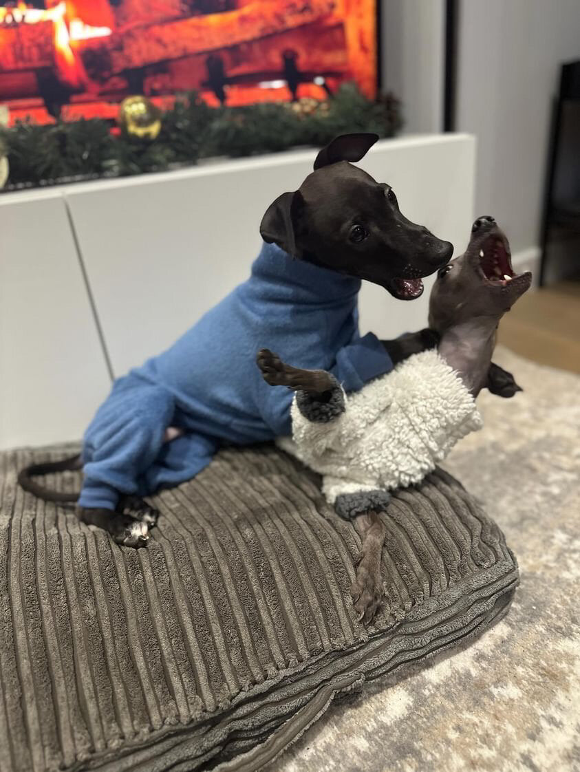 Fleece Lined Sweatshirt - Charcoal Grey