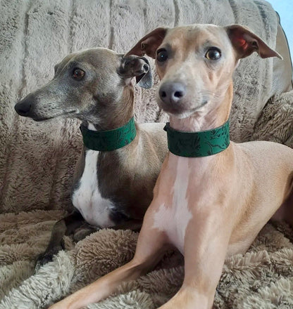 Leather Collar - Dinosaurs