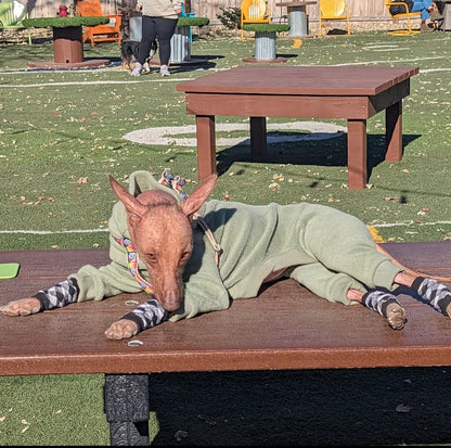 Fleece Lined Sweatshirt - Sage Green