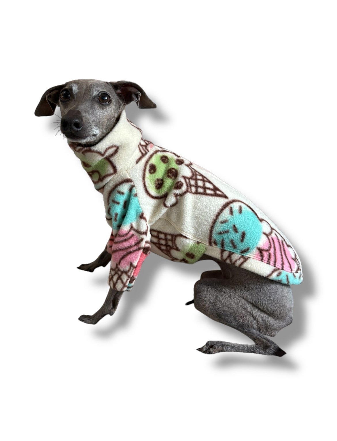 Fleece Jumper - Ice Creams