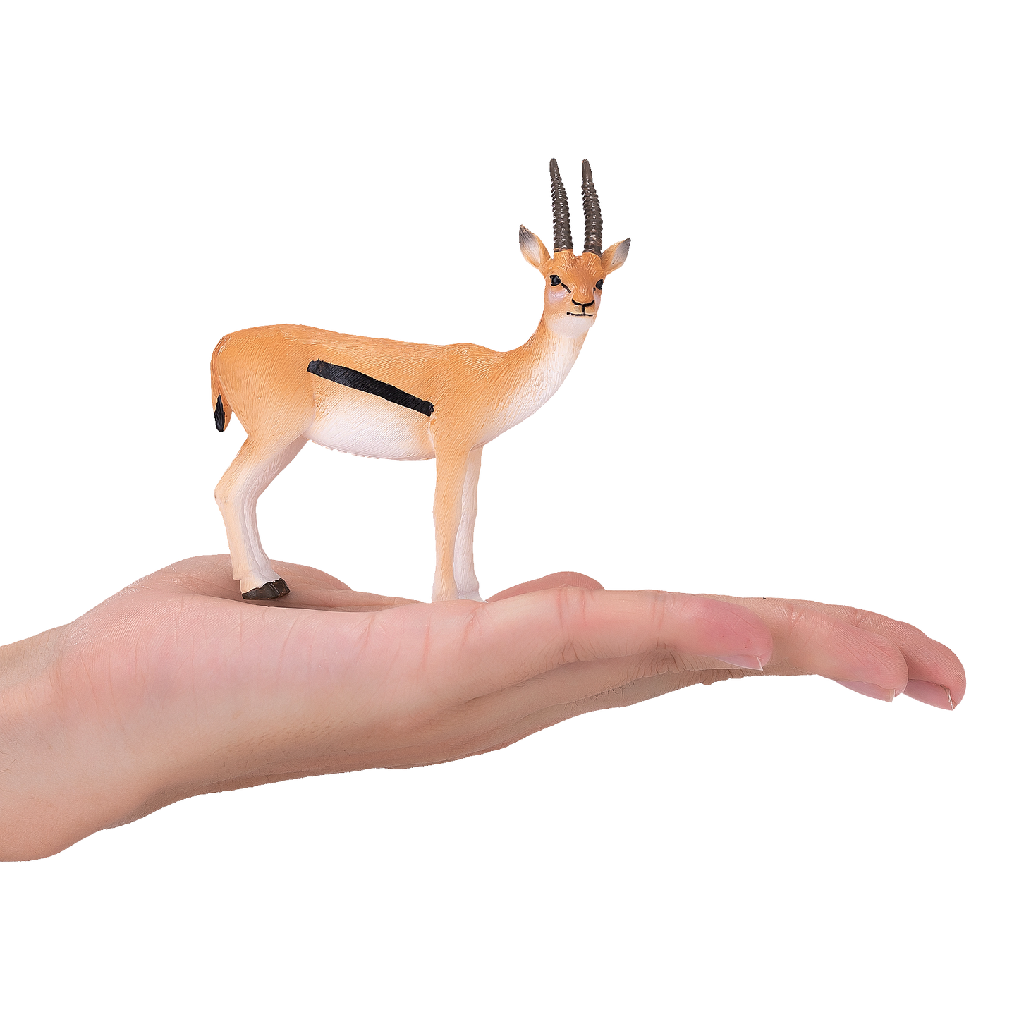 Thomson Gazelle Toy Realistic African Wildlife Figure