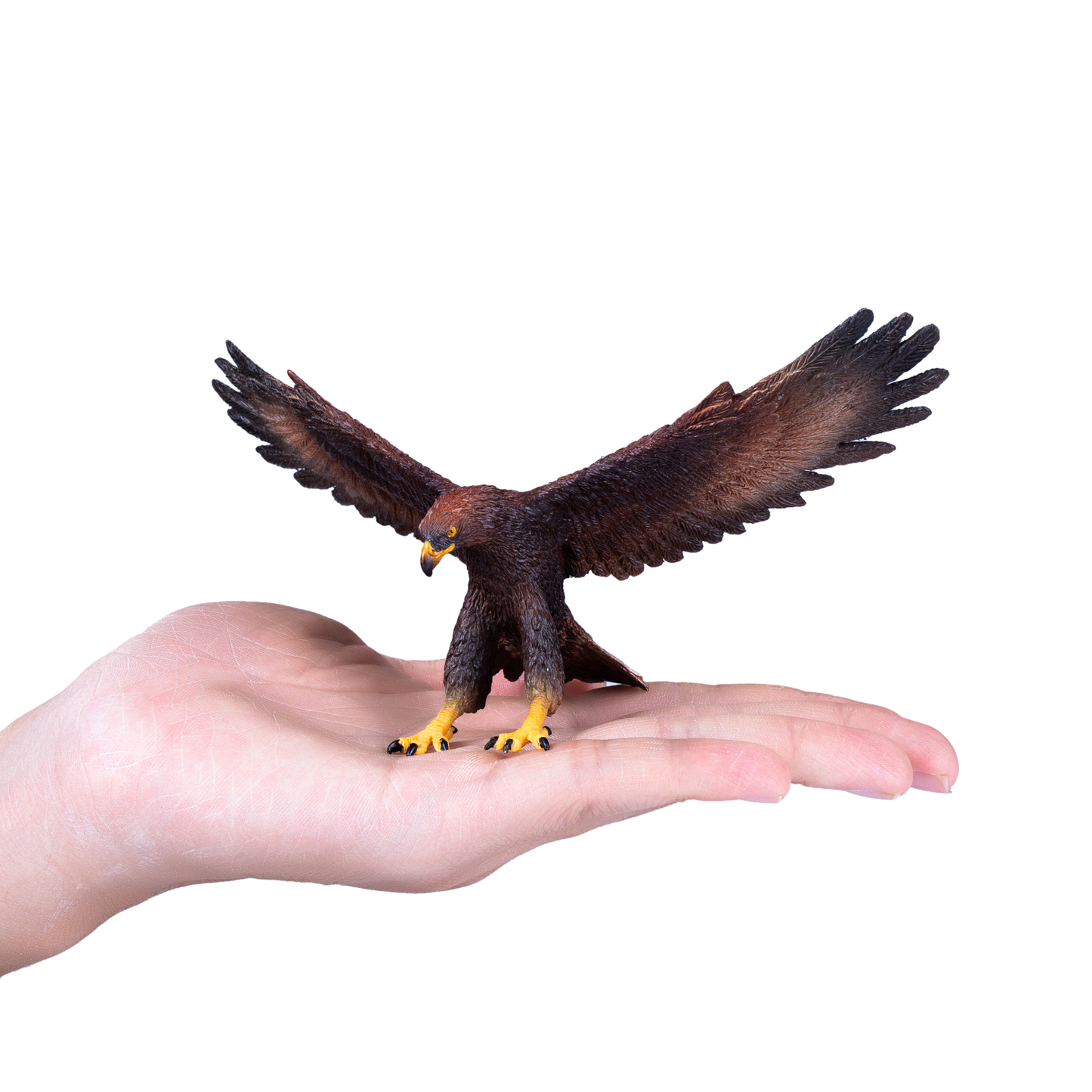 Golden Eagle Toy Realistic Bird of Prey Figurine
