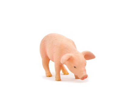 Piglet Feeding Toy Realistic Farmyard Animal Figure