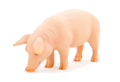 Wild Boar Pig Toy Realistic Farm & Forest Animal Figure