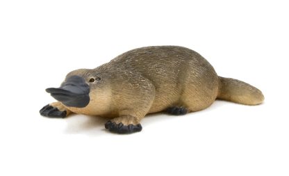 Duck-Billed Platypus Toy Realistic Australian Wildlife Model