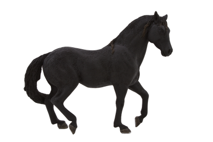 Andalusian Black Horse Toy Realistic Equestrian Model
