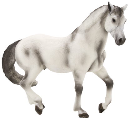 Andalusian Grey Horse Toy Realistic Equestrian Model
