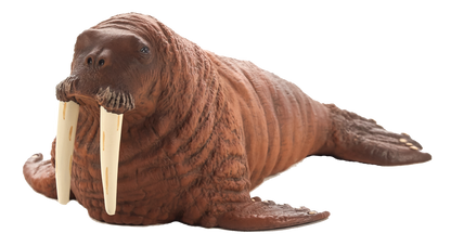 Walrus Toy Realistic Arctic Wildlife Figurine