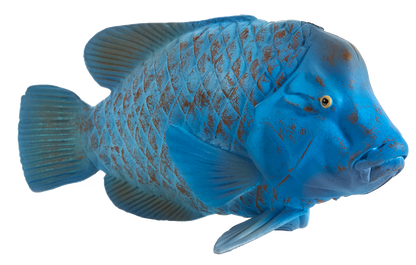 Blue Groper Fish Toy Realistic Ocean Animal Figure