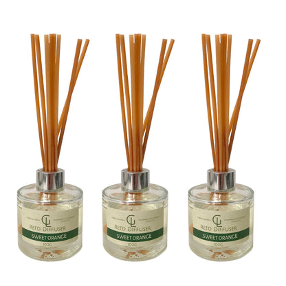 Reed Diffuser Oil Based 100ml
