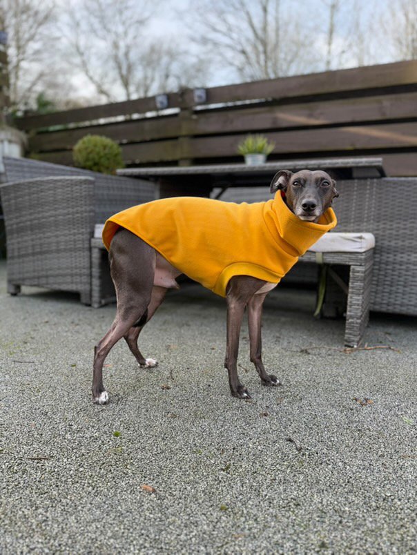 Open-Leg Fleece Vest - Yellow