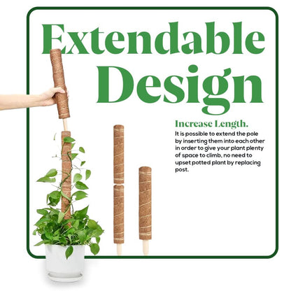 4pc Moss Coir Pole Plant Supports - Fibre Sticks with Spikes