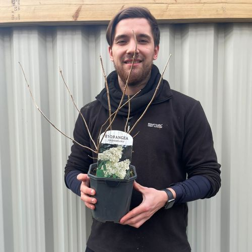 Jumbo Large Orthopedic Dog Bed Memory Foam Quilted Bolstered Pet Sofa Couch Elevated Cushion Warm Waterproof Mattress