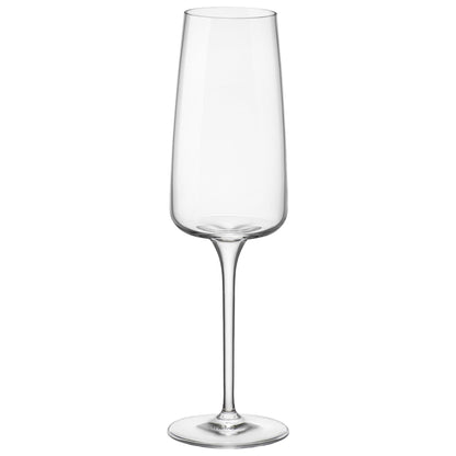 240ml Nexo Glass Champagne Flutes - Pack of 6