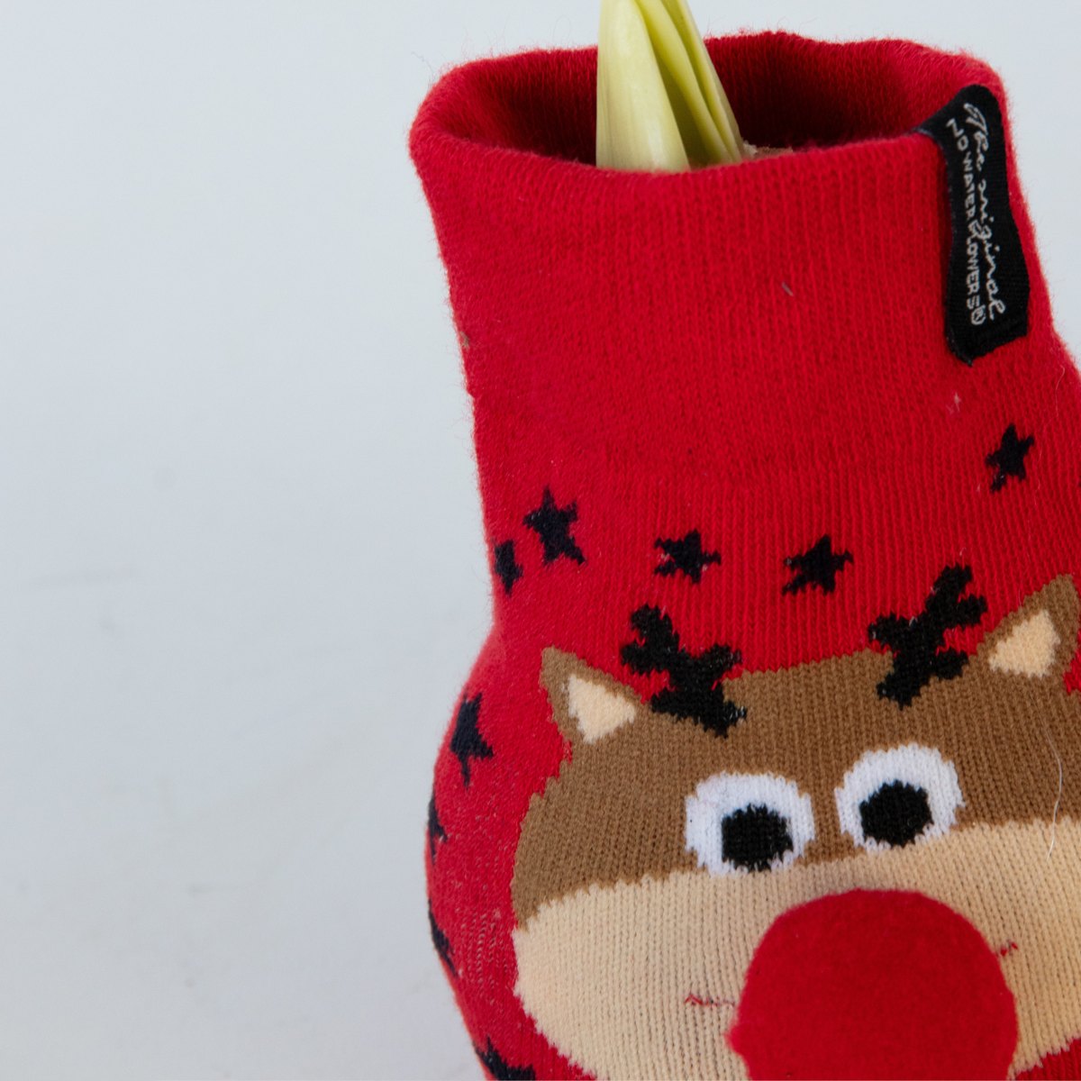 Amaryllis - 3 pcs. - Hippeastrum 'Xmas Sweater Mix' - Flower Bulb - Red