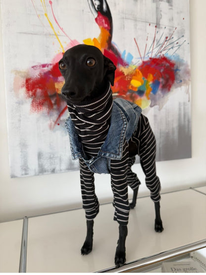 Denim Jacket - Cool Iggy Club