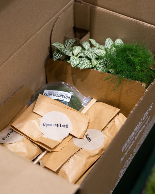 Terrarium Kit ingredients - small no glass