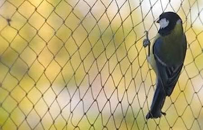 Garden Mile Pond Netting - 2m x 4m Fine Mesh Netting for Plants Garden Bird Protection