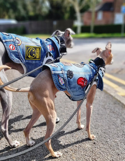 Denim Jacket - Cool Iggy Club