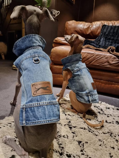 Denim Jacket - Cool Iggy Club