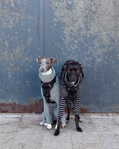 Knit Jersey Suit - Grey Stripe