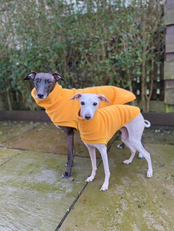 Open-Leg Fleece Vest - Yellow