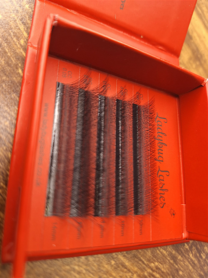 Sample Tray – 4D Clover Lashes