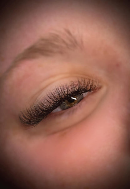Sample Tray – 4D Clover Lashes