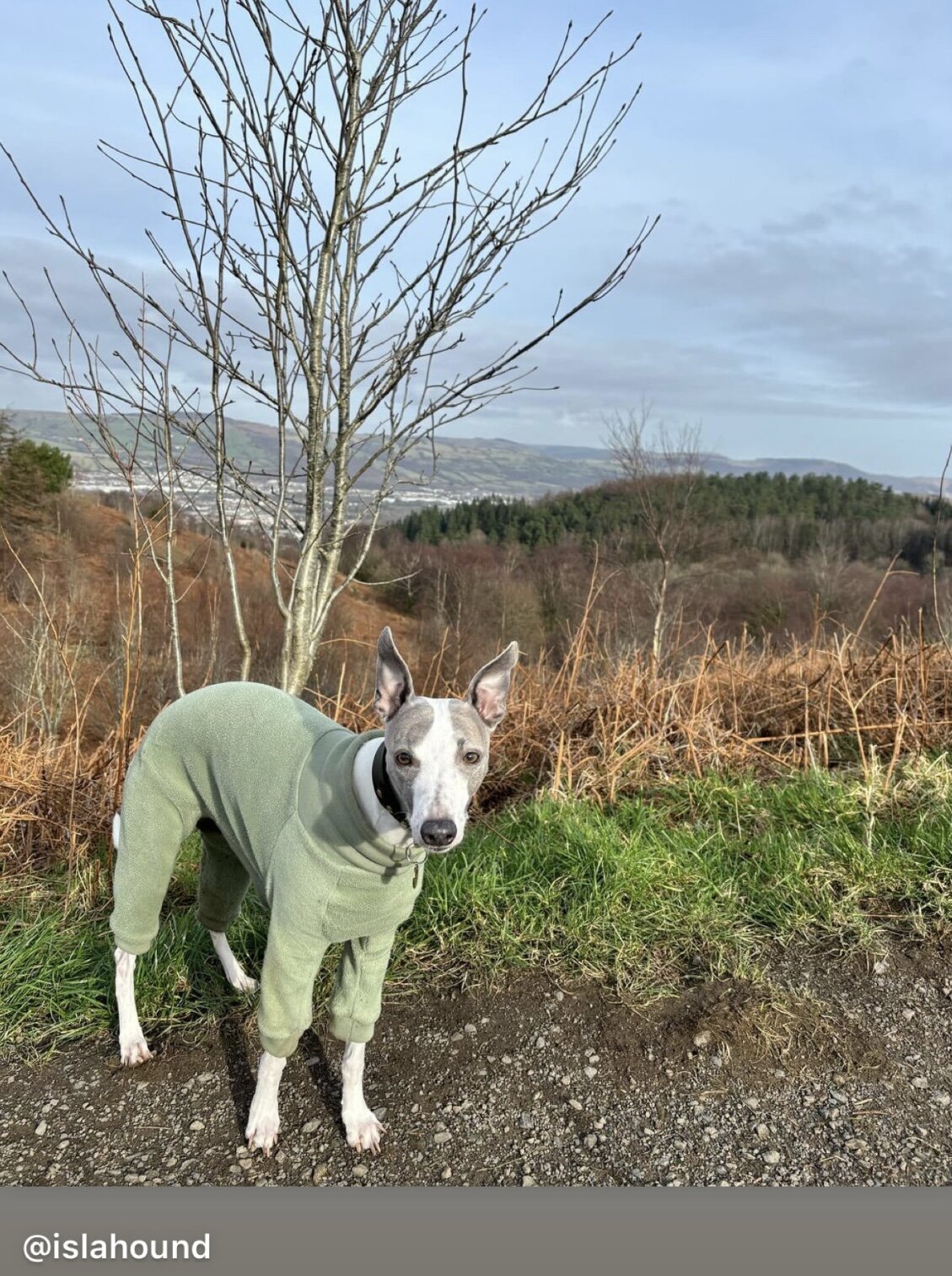 Fleece Lined Sweatshirt - Sage Green
