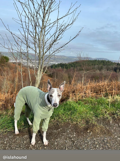 Fleece Lined Sweatshirt - Sage Green