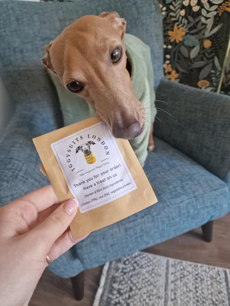 Fleece Lined Sweatshirt - Sage Green