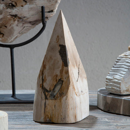 Relic Petrified Wood Pyramid Sculpture