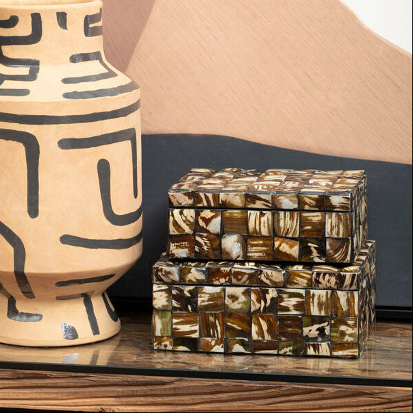 Branna Large Natural Shell Detail Box