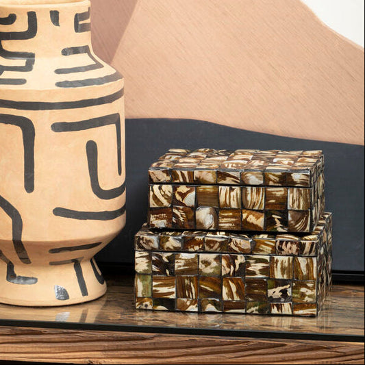 Branna Large Natural Shell Detail Box