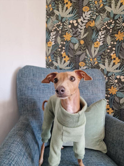 Fleece Lined Sweatshirt - Sage Green