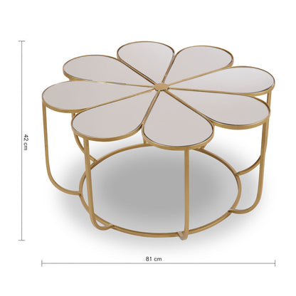 Rabia Petal Coffee Table With Mirrored Top