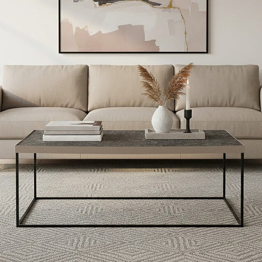 Akola Rectangle Coffee Table in Silver and Glass