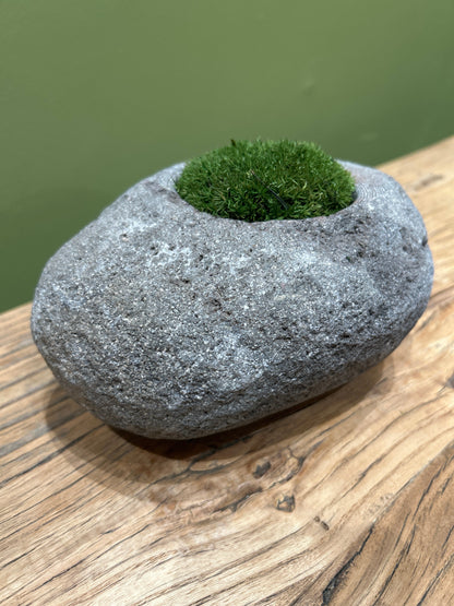 Indo Riverstone planted with Preserved Moss FR71