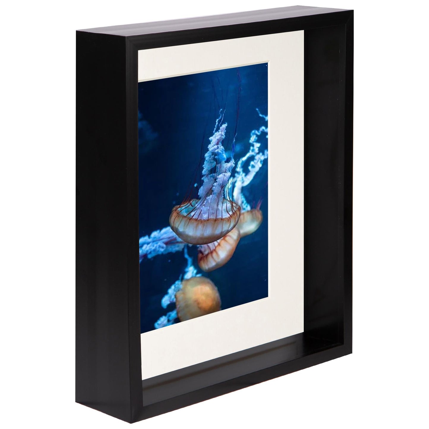 8" x 10" Black 3D Deep Box Photo Frame - with 5" x 7" Mount