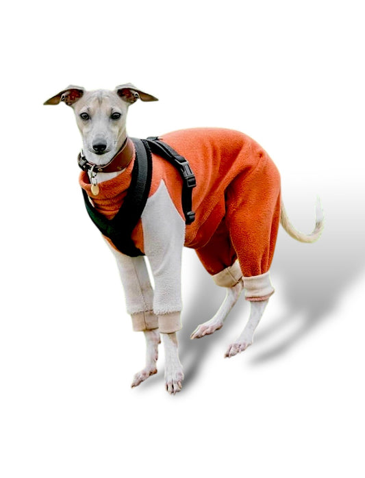 Fleece Lined Sweatshirt Suit - Pumpkin Spice