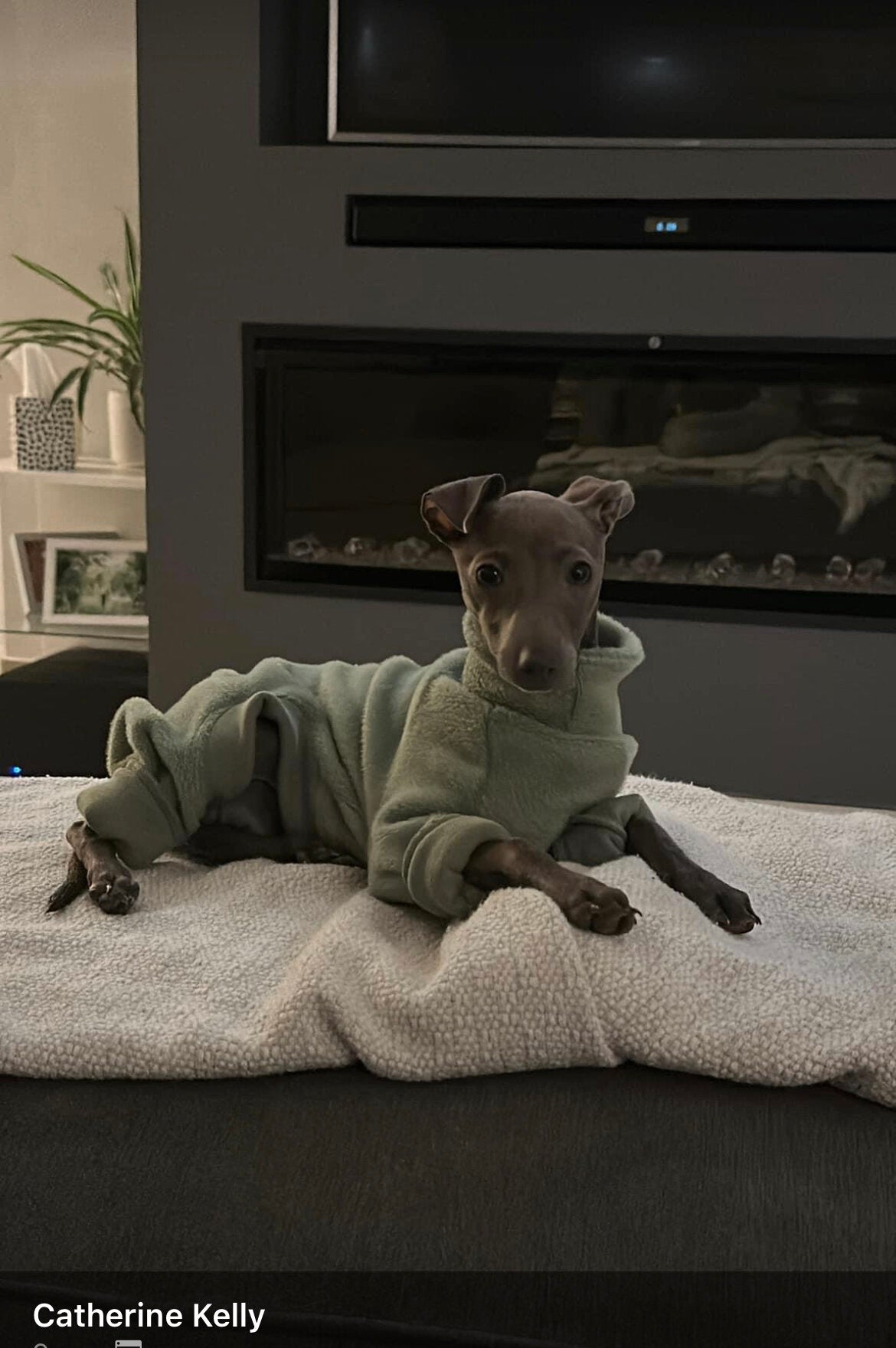 Fleece Lined Sweatshirt - Sage Green