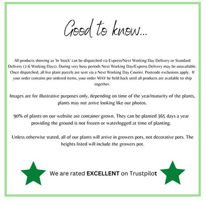 Black Pull Out Kitchen Faucet Silver Single Handle Nickel Kitchen Tap Single Hole Handle Swivel Sprayer Water Mixer Tap