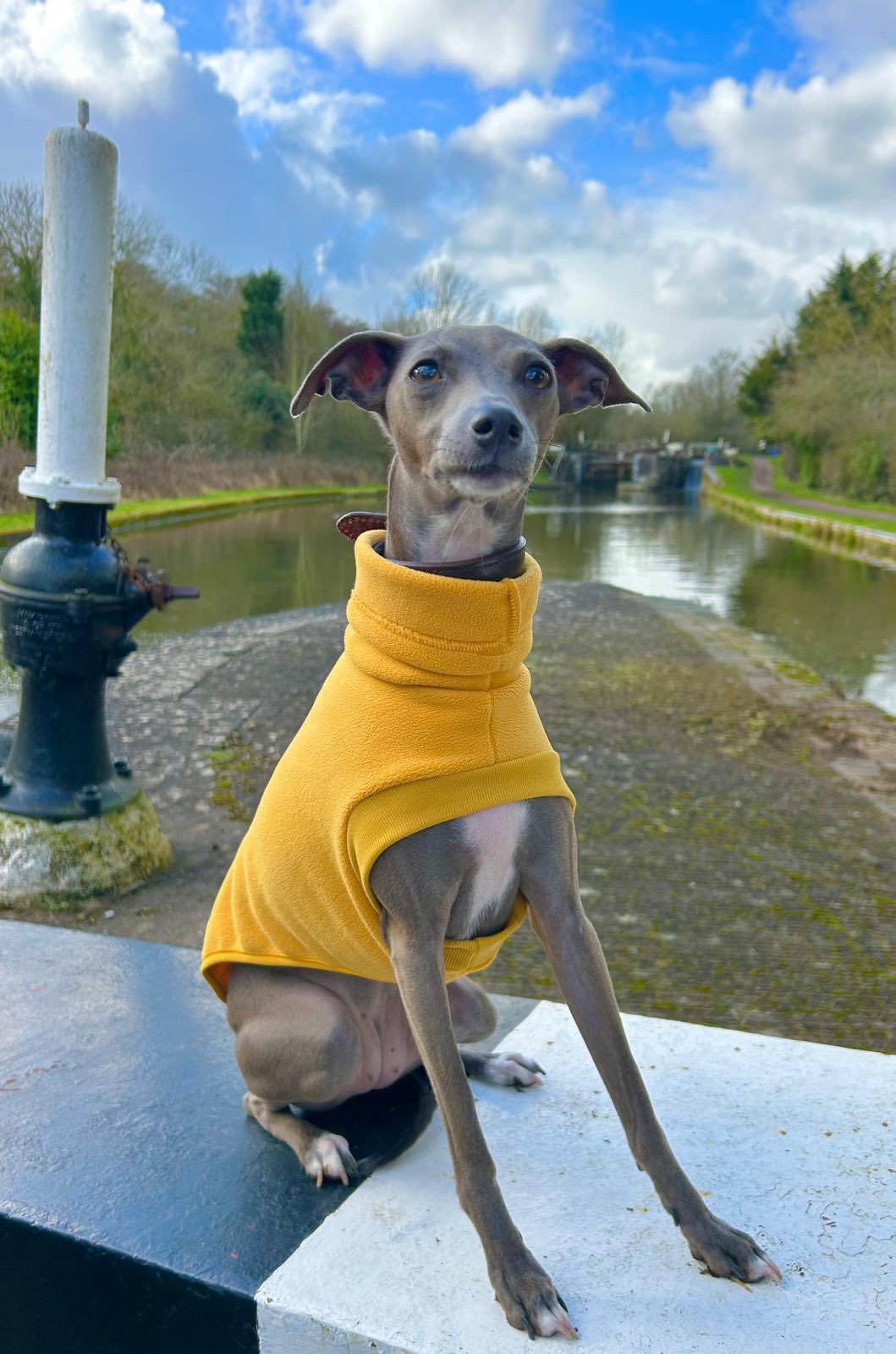 Open-Leg Fleece Vest - Yellow