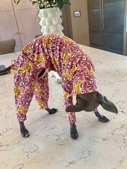 Jersey Suit - Cheeky Monkey