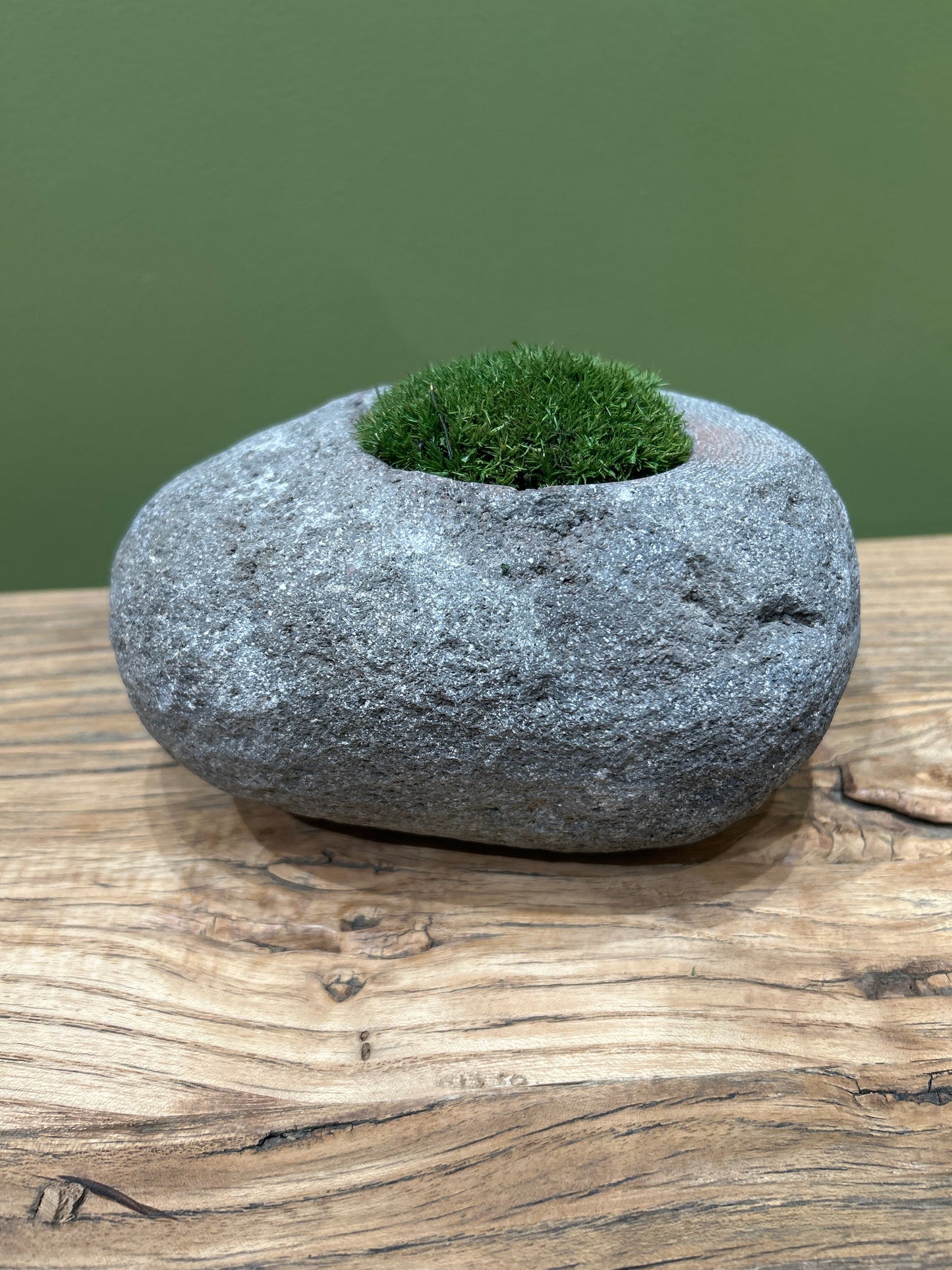 Indo Riverstone planted with Preserved Moss FR71