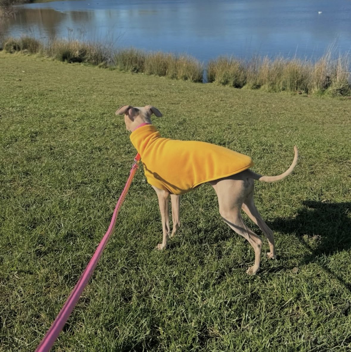 Open-Leg Fleece Vest - Yellow