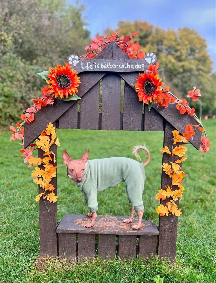 Fleece Lined Sweatshirt - Sage Green